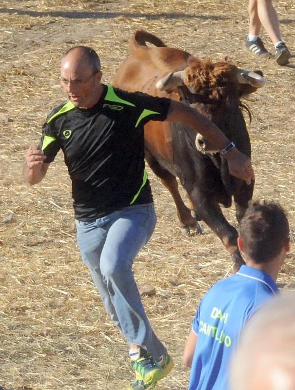 Encierro del sábado por la tarde en Olmedo