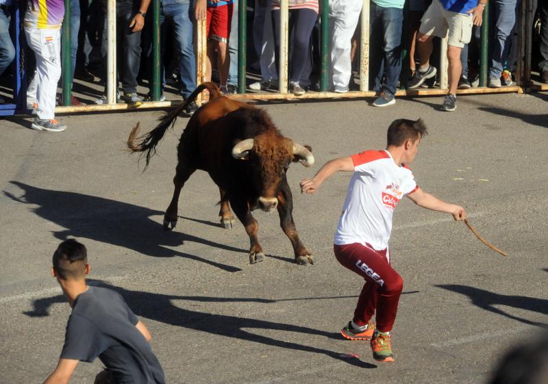 Encierro del sábado por la tarde en Olmedo