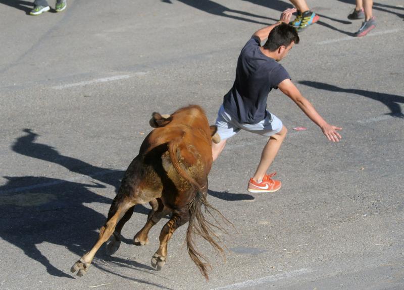 Encierro del sábado por la tarde en Olmedo