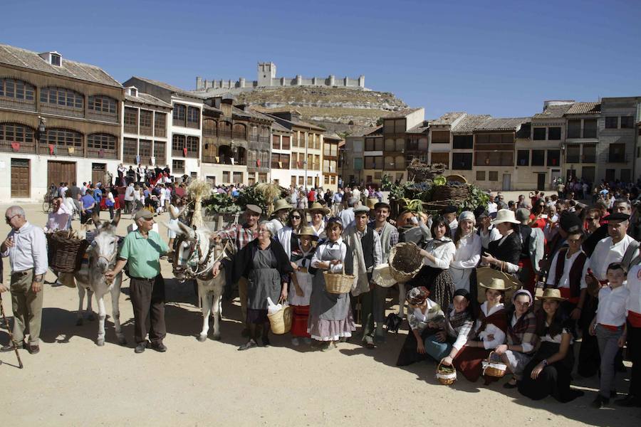 Fiesta de la vendimia en Peñafiel (1/2)