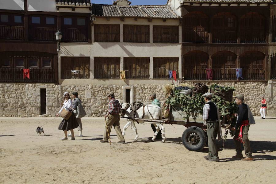 Fiesta de la vendimia en Peñafiel (2/2)