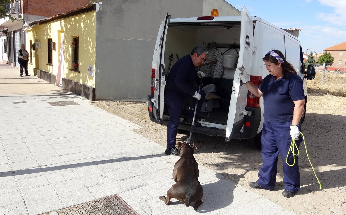 Abandona a su pitbull en la casa en la que iba a ser desalojada