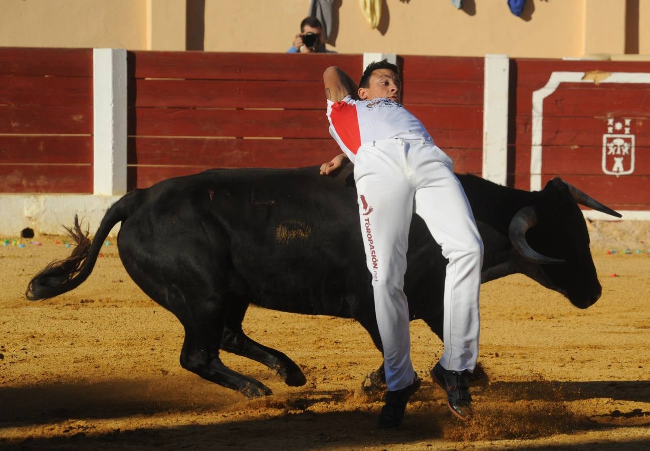 Concurso de cortes de Olmedo