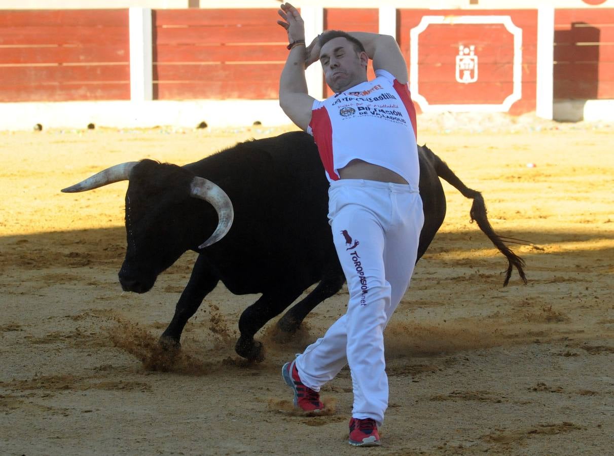 Concurso de cortes de Olmedo