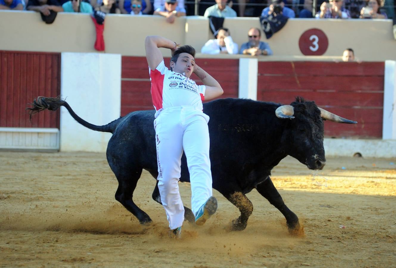 Concurso de cortes de Olmedo