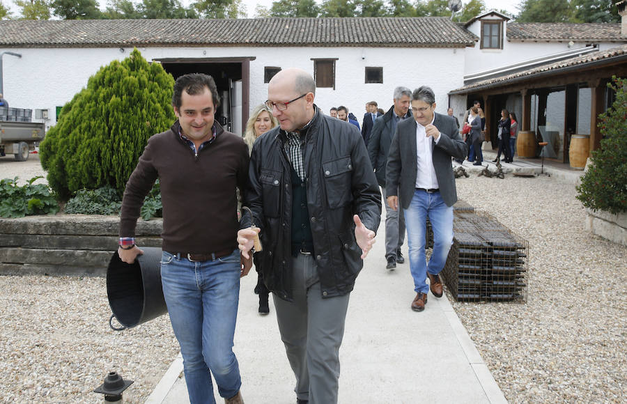 Fiesta de la vendimia en la bodega Dehesa de los Canónigos