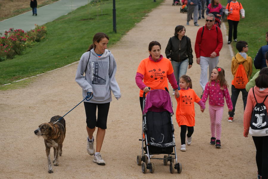Una mañana por la ribera de Arroyo (2/3)