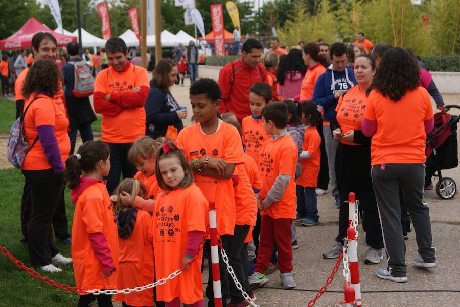 Una mañana por la ribera de Arroyo (2/3)