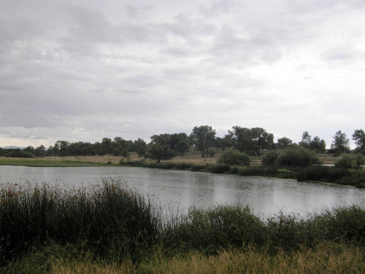 Lagunas de Cantalejo (Segovia). En el corazón de la provincia de Segovia, dentro de la comarca de Tierra de Pinares, en una zona llana entre las cuencas hidrográficas de los ríos Cega y Duratón.