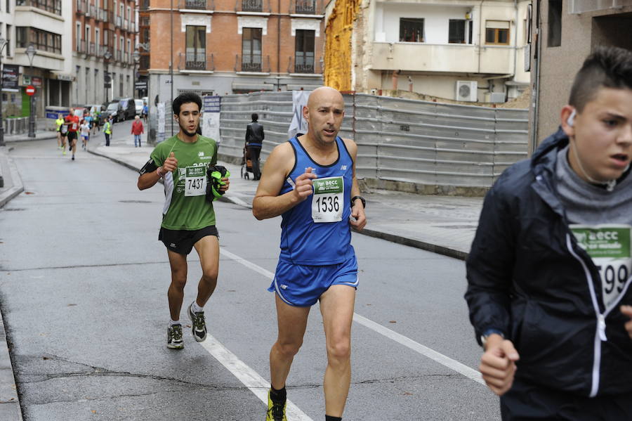 Marcha solidaria contra el cáncer en Valladolid (Fotos 1)