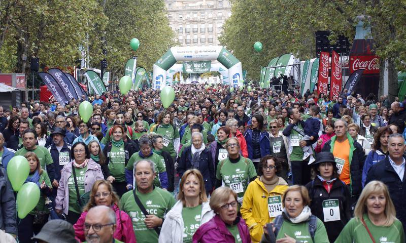 Marcha solidaria contra el cáncer en Valladolid (Fotos 16)