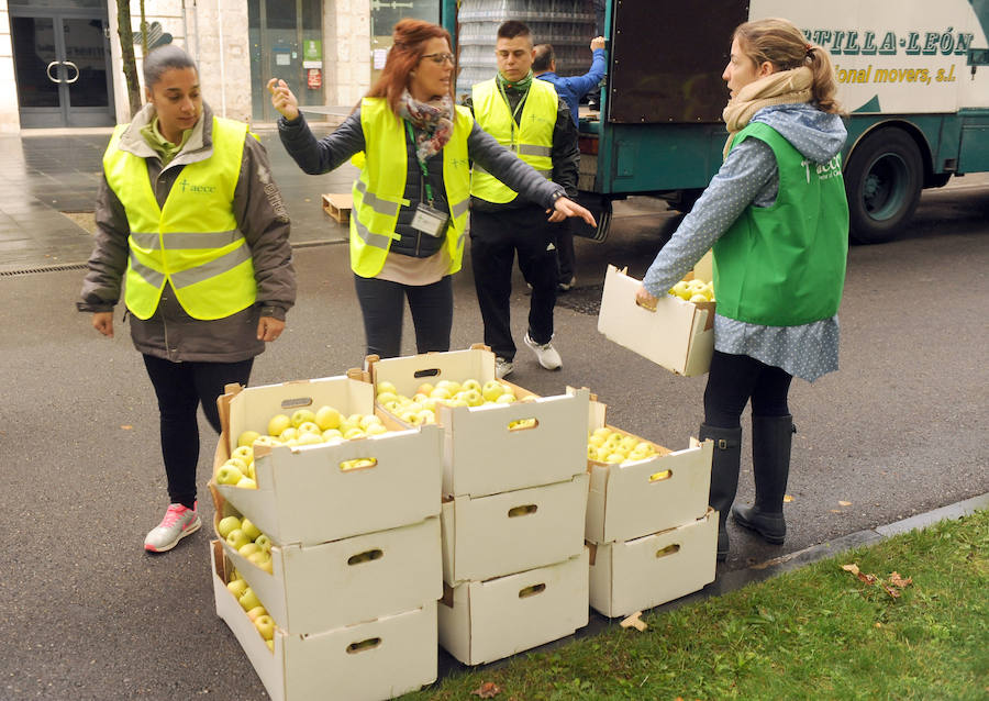 El trabajo de la Asociación Contra el Cáncer en la marcha de Valladolid