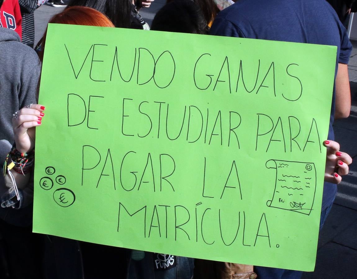 Los estudiantes segovianos se manifiestan contra la Lomce