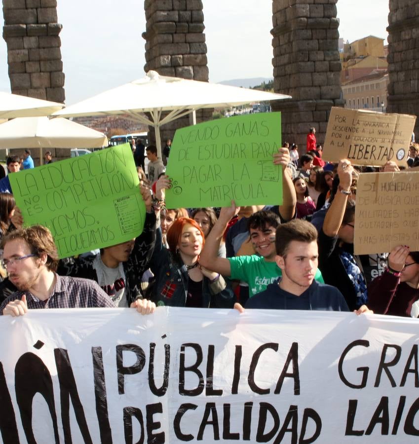 Los estudiantes segovianos se manifiestan contra la Lomce