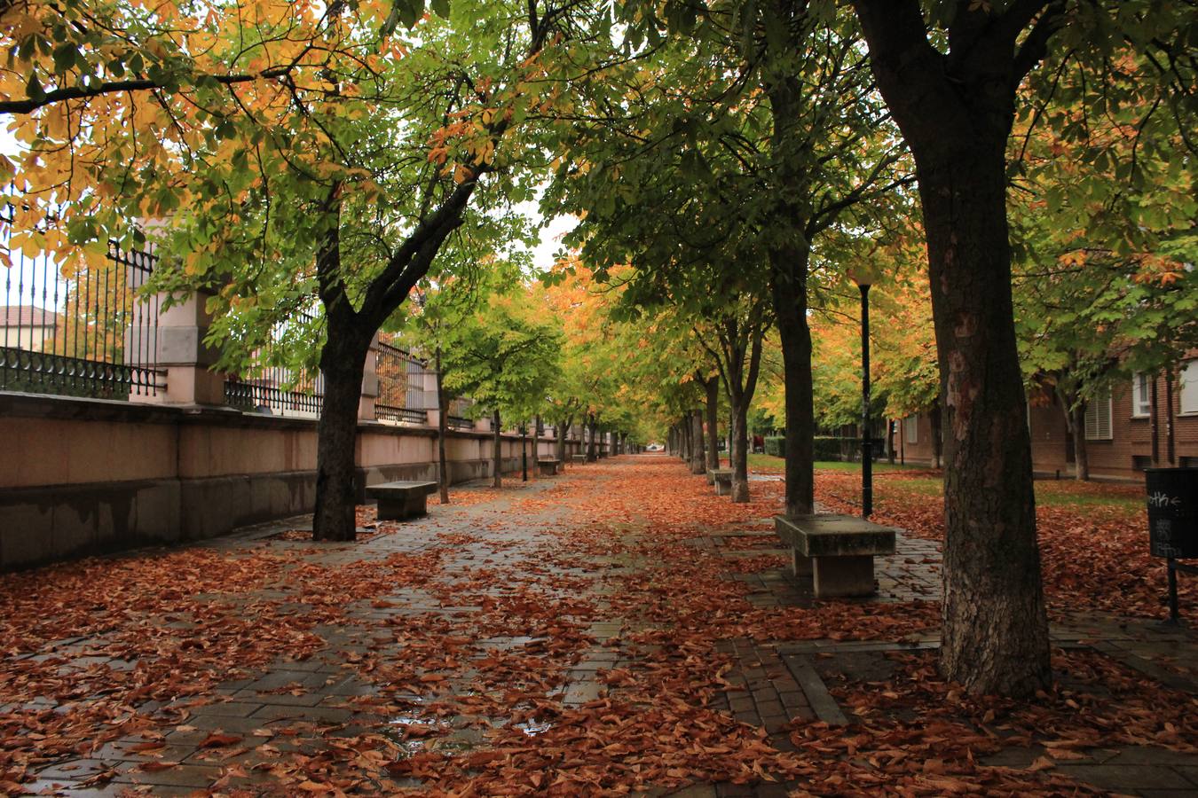 Otoño en Valladolid