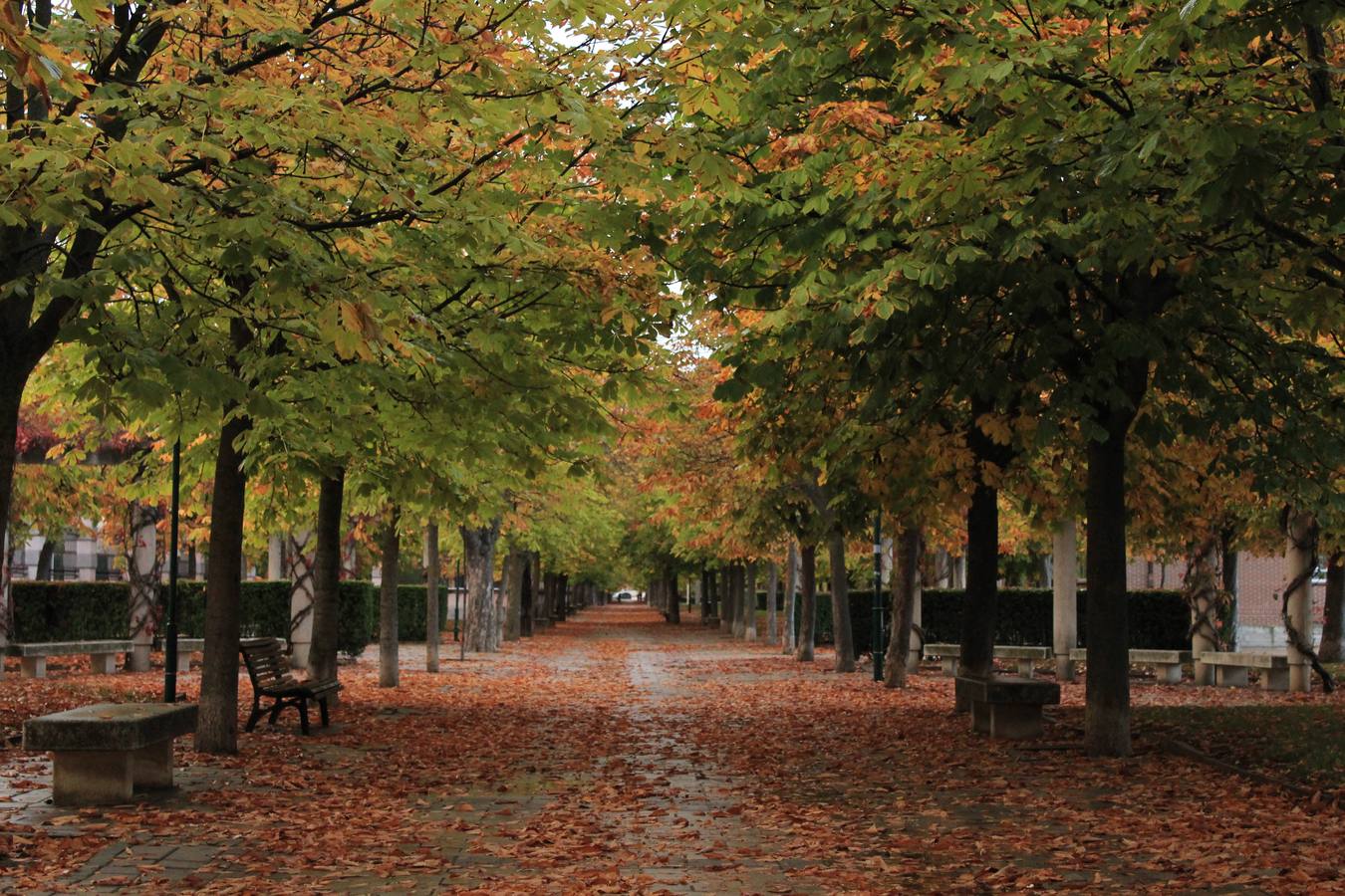 Otoño en Valladolid