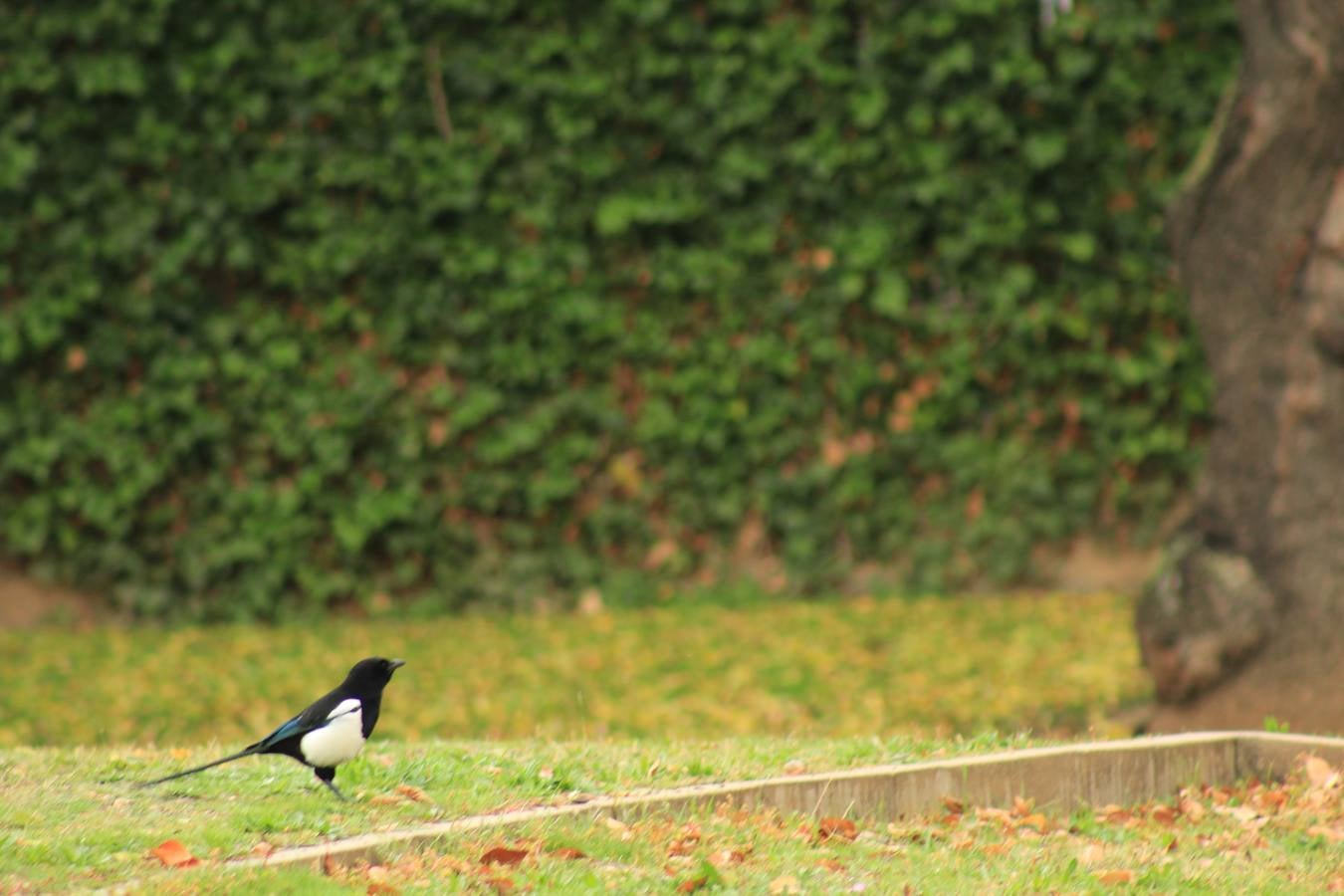 Otoño en Valladolid