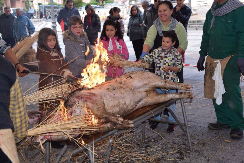 Jornadas de la matanza del cerdo en Guardo (Palencia)