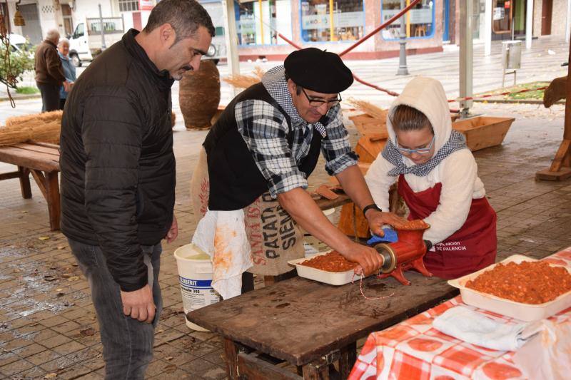 Jornadas de la matanza del cerdo en Guardo (Palencia)