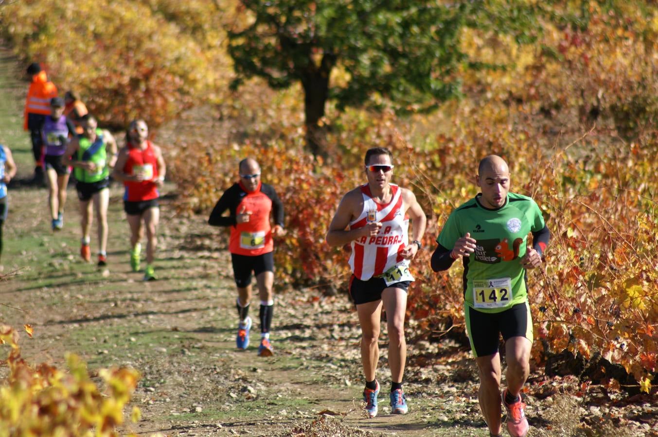 Mucientes acoge la sexta y última prueba del Circuito &#039;Corriendo entre Viñas&#039;