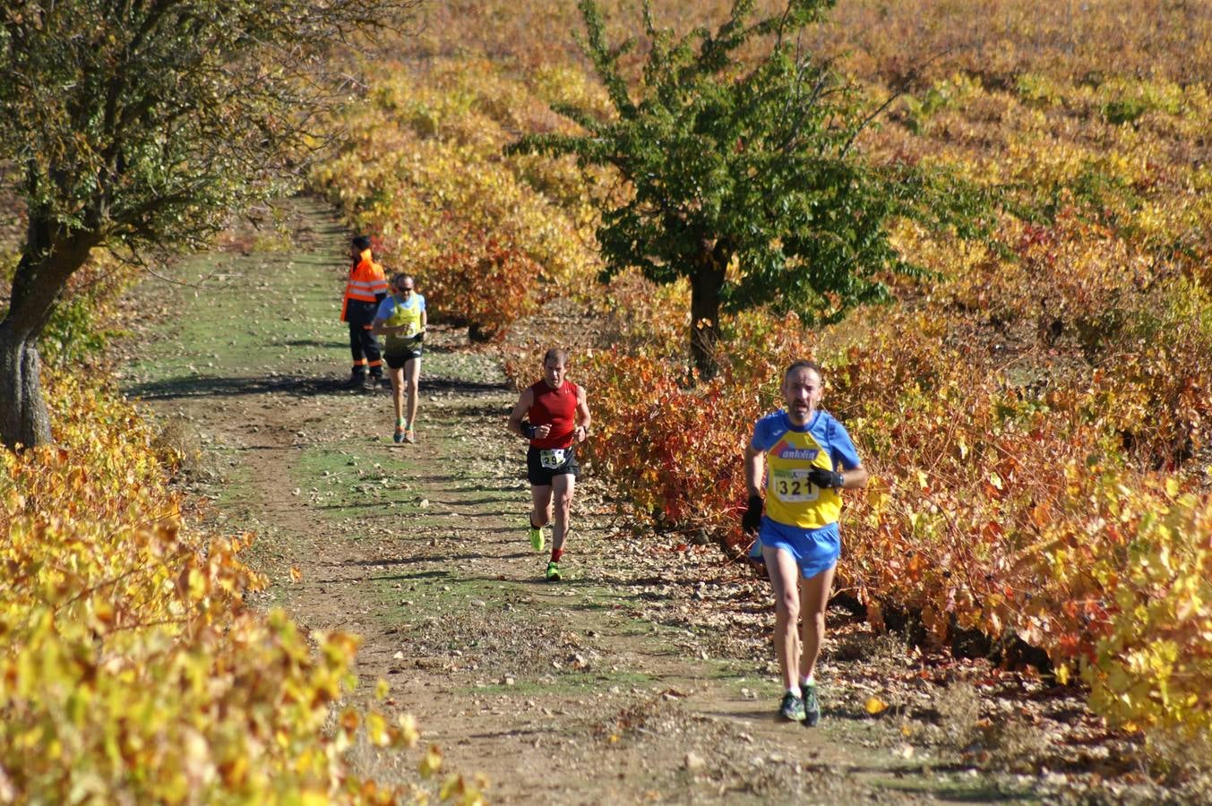 Mucientes acoge la sexta y última prueba del Circuito &#039;Corriendo entre Viñas&#039;