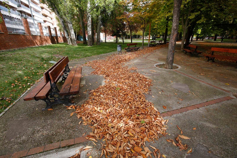 Palencia se viste de otoño
