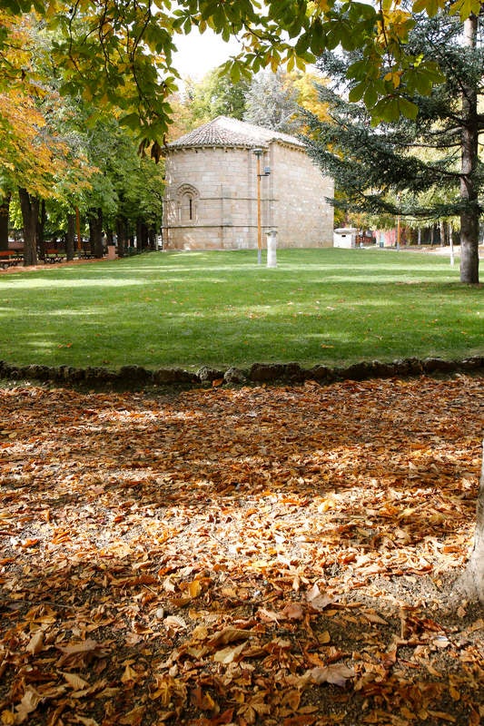 Palencia se viste de otoño