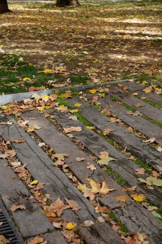 Palencia se viste de otoño