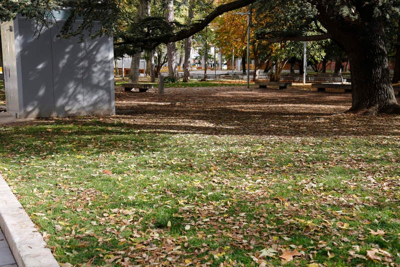 Palencia se viste de otoño