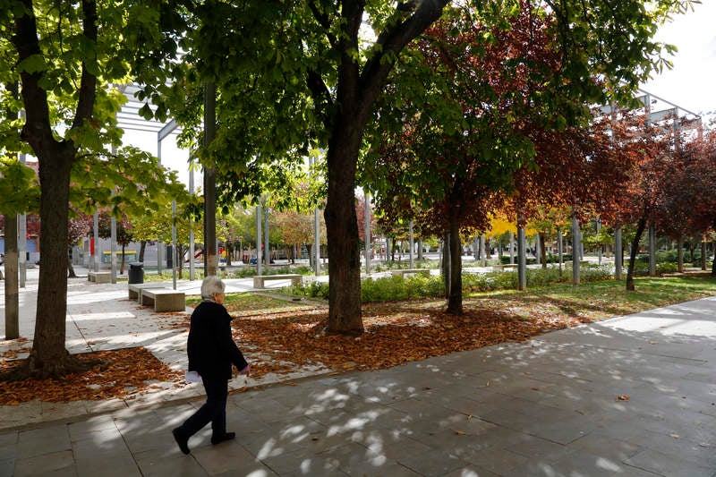 Palencia se viste de otoño