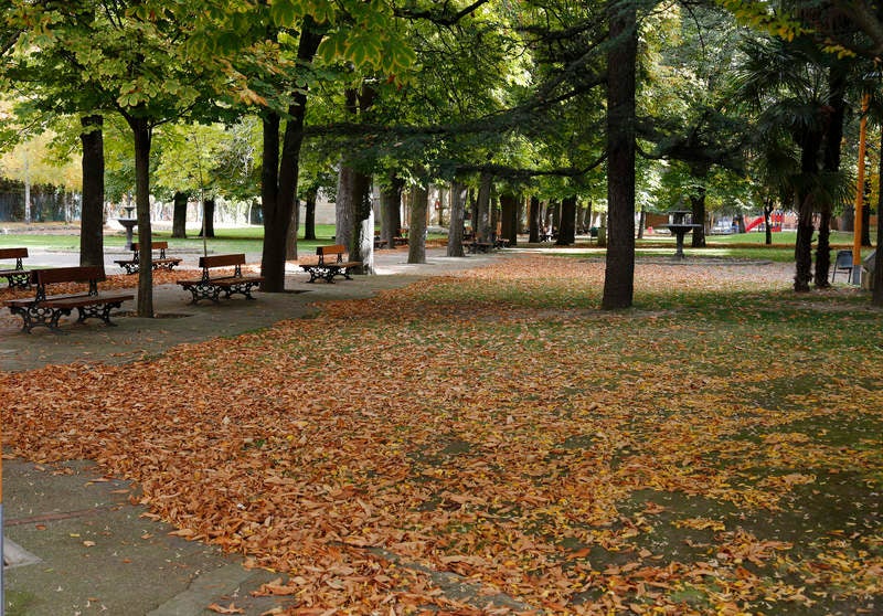 Palencia se viste de otoño