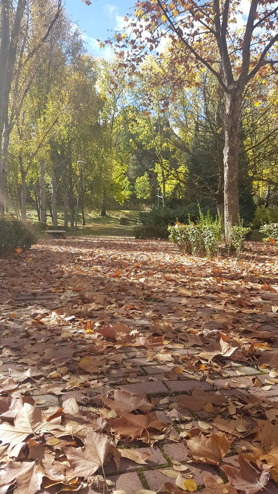 Valladolid se viste de otoño