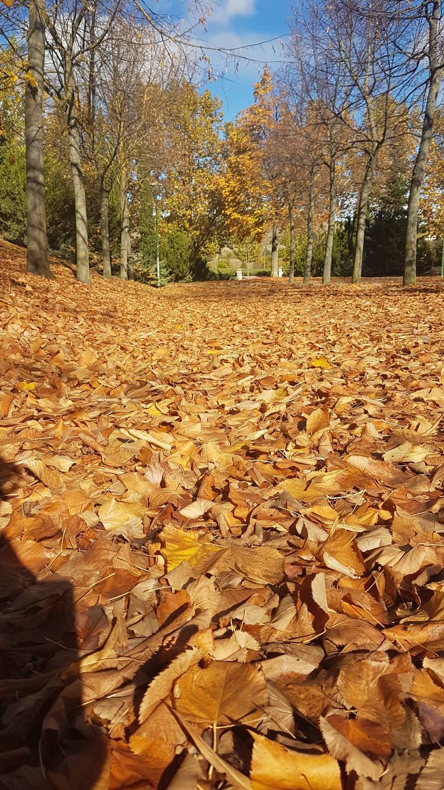 Valladolid se viste de otoño
