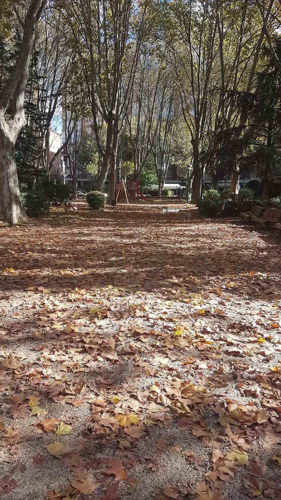Valladolid se viste de otoño