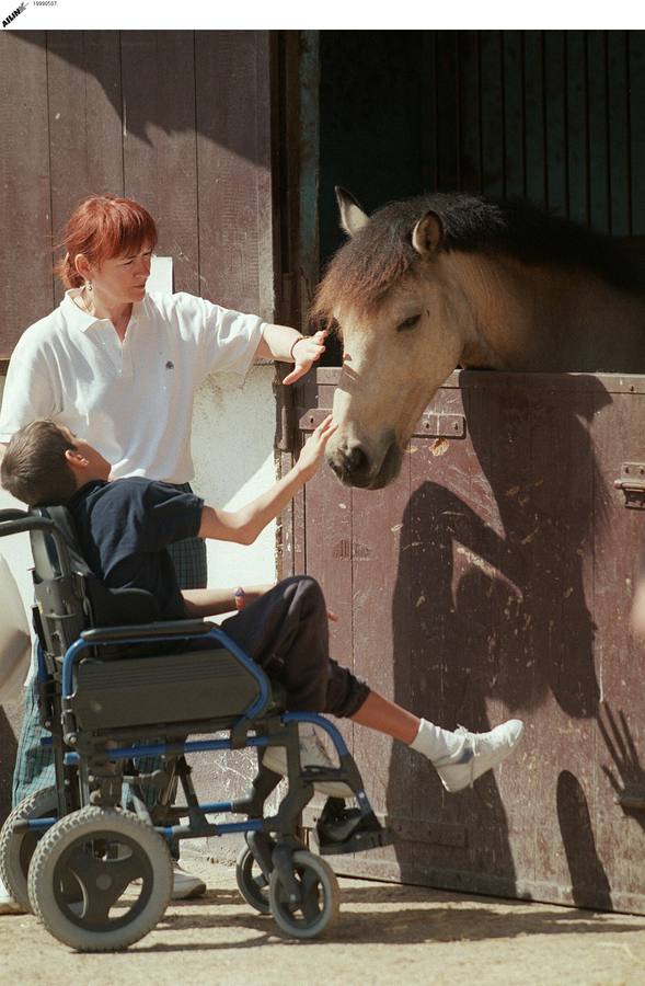 Estimulación de niños con deficiencias psíquicas mediante el trato con los caballos.