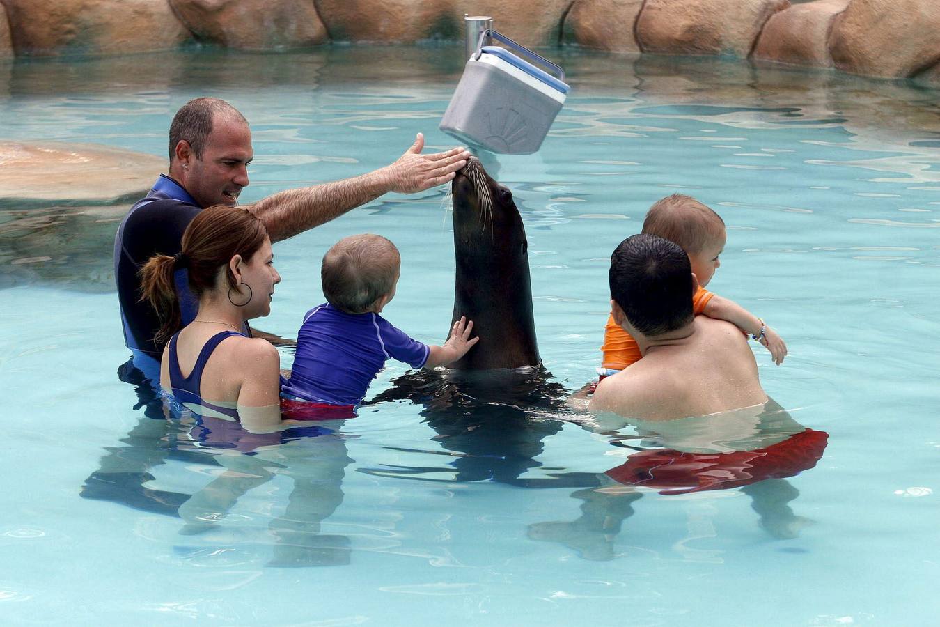 Niños con deficiencias psíquicas (o autismo) y adultos con esclerosis múltiple, participan en una piscina en una terapia pionera con leones marinos.