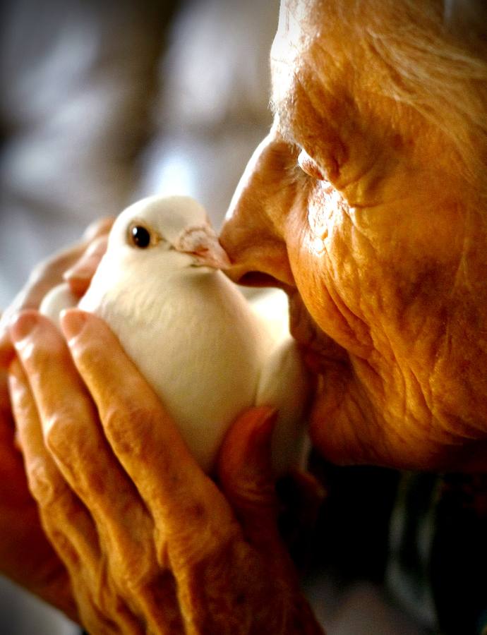 Una anciana, ingresada en un hospicio para enfermos terminales, acaricia a una paloma dentro del programa de terapia animal diseñado para incrementar el bienestar de los pacientes.