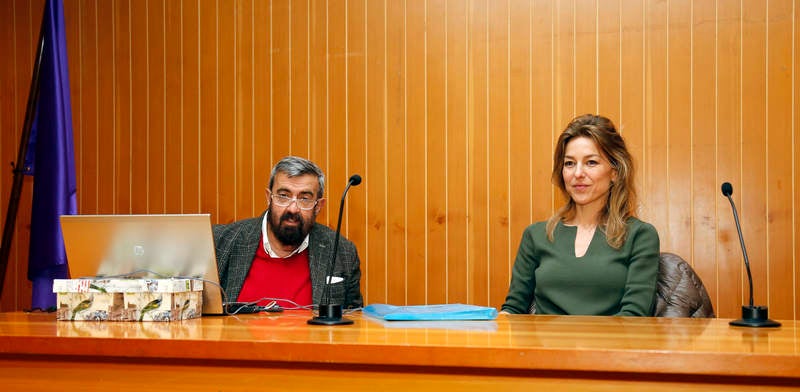 Ruta por la arquitectura brutalista de Palencia