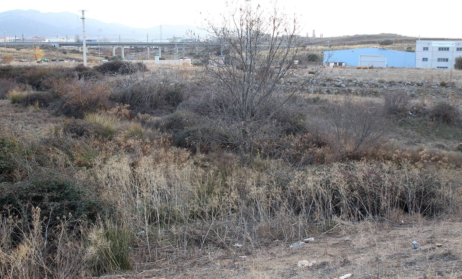 Presentación del proyecto del Parque Comercial Guiomar de Segovia