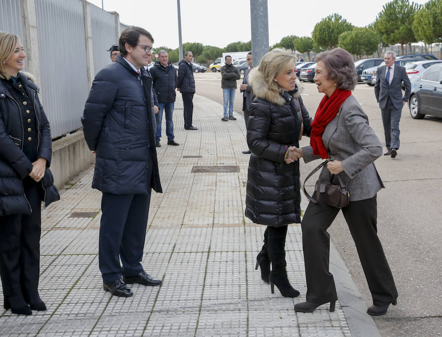 Visita de la Reina Sofía al Banco de Alimentos de Salamanca