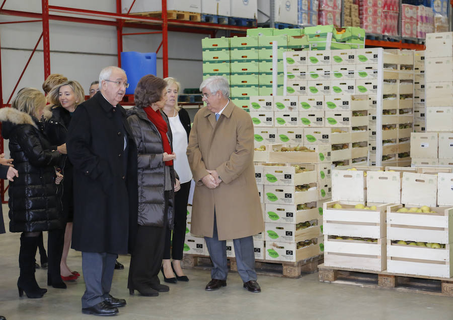 Visita de la Reina Sofía al Banco de Alimentos de Salamanca