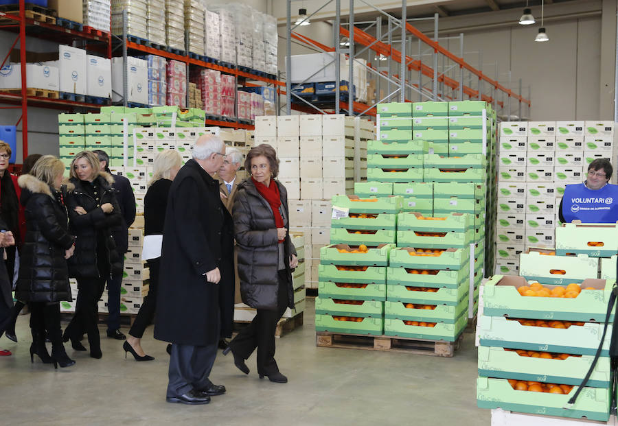 Visita de la Reina Sofía al Banco de Alimentos de Salamanca