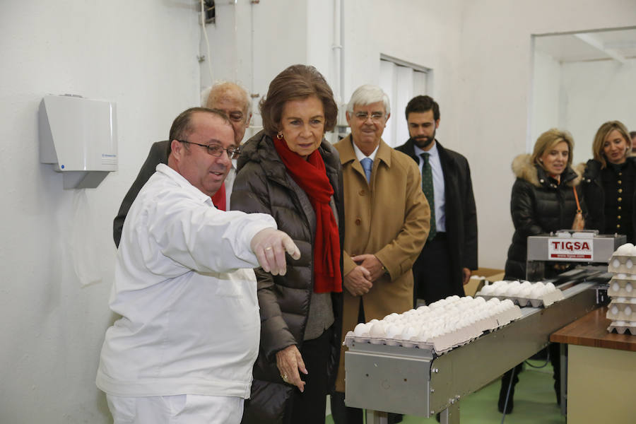 Visita de la Reina Sofía al Banco de Alimentos de Salamanca