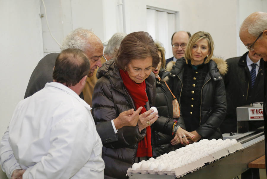 Visita de la Reina Sofía al Banco de Alimentos de Salamanca