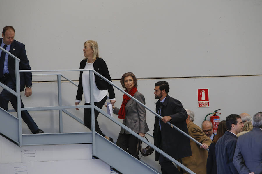 Visita de la Reina Sofía al Banco de Alimentos de Salamanca