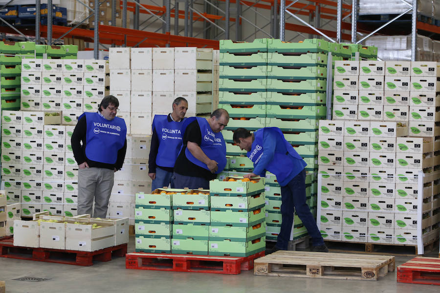 Visita de la Reina Sofía al Banco de Alimentos de Salamanca