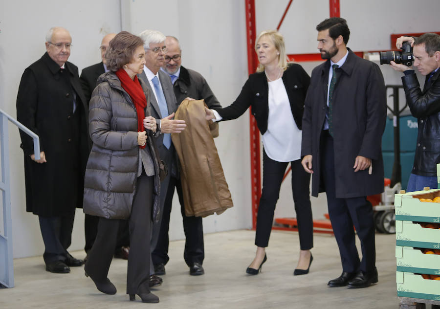 Visita de la Reina Sofía al Banco de Alimentos de Salamanca