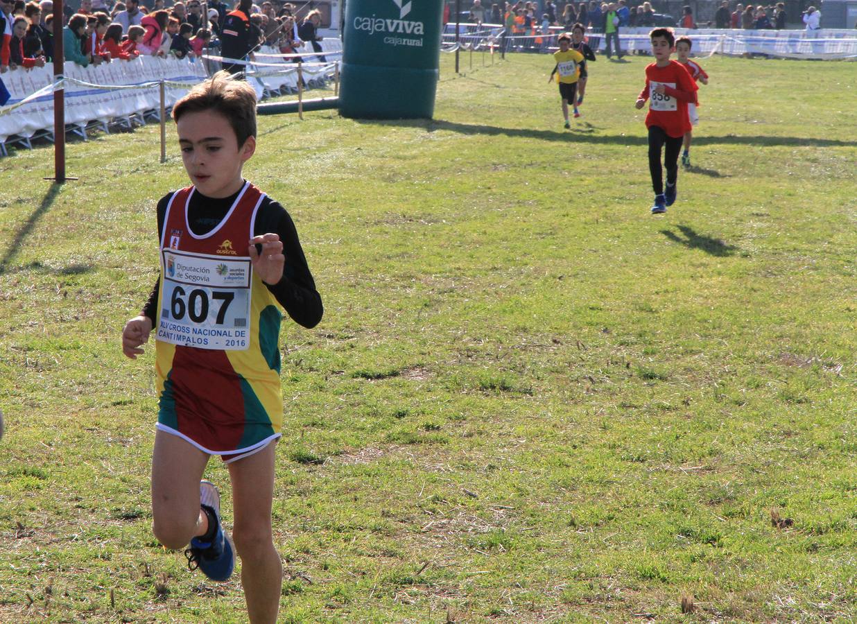 Cros Nacional de Cantimpalos (1/2)