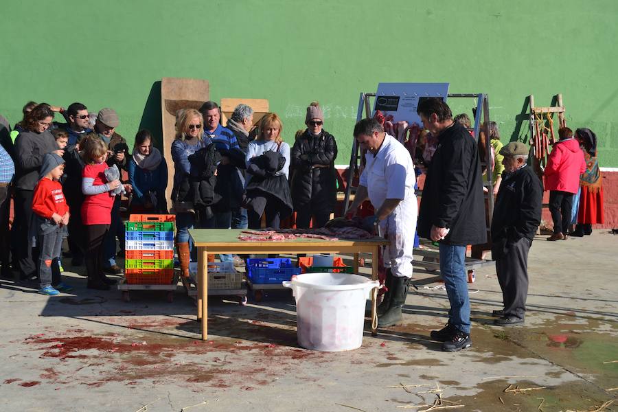 Matanza tradicional en Macotera, Salamanca