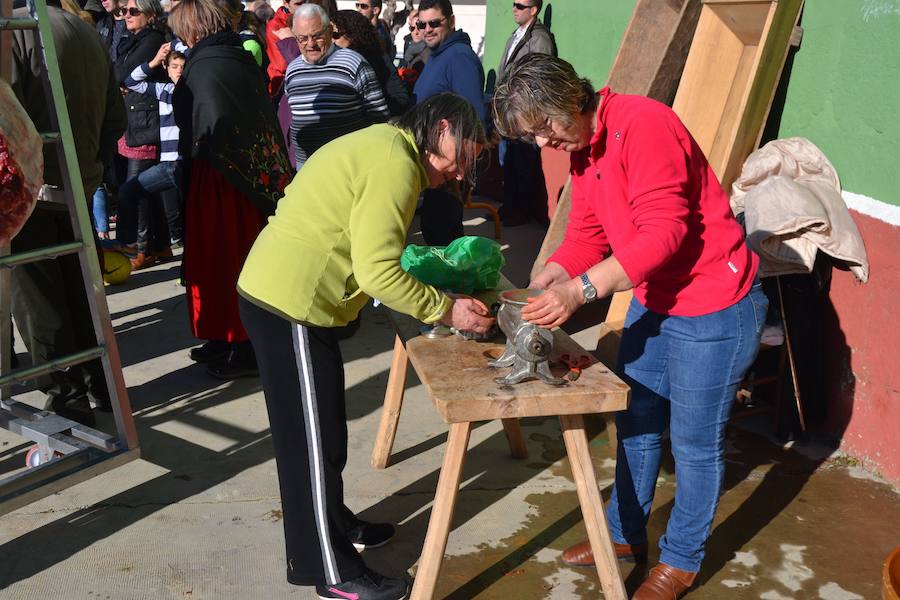 Matanza tradicional en Macotera, Salamanca